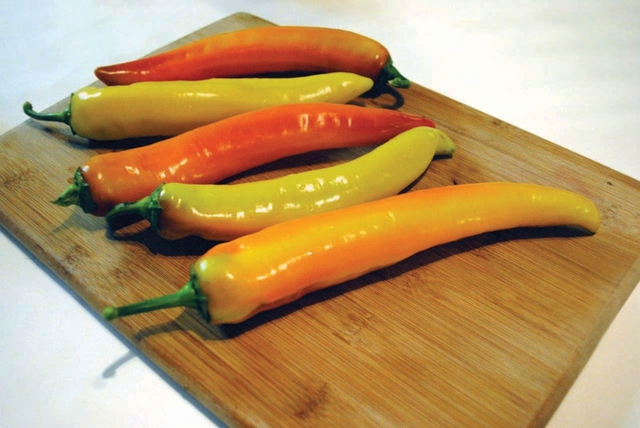 hungarian hot pepper - ’ from KG Kelly's Gardens hungarian hot pepper - ’ from KG Kelly's Gardens