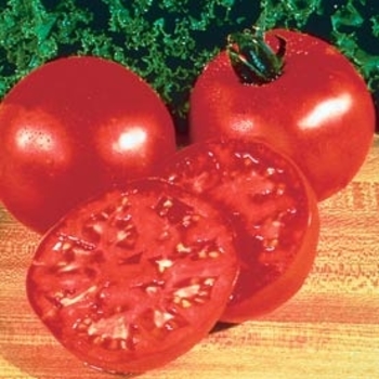 big boy - tomatoe