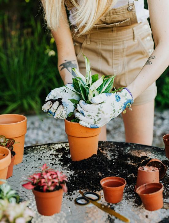 Pots and Yard Decor